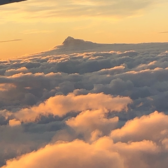 Meet your Posher, Nora - Picture 1 of 2